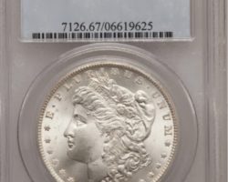 PCGS Coins and NGC Coins Premiums Keep Falling  update 11-20-2018